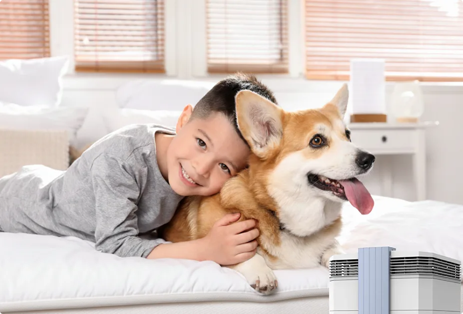 IQAir-Atem-X-LivingRoomwCouch 1 (8)